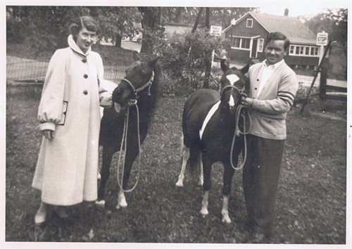 My Auntie Marian and Uncle Wilfred with ponies